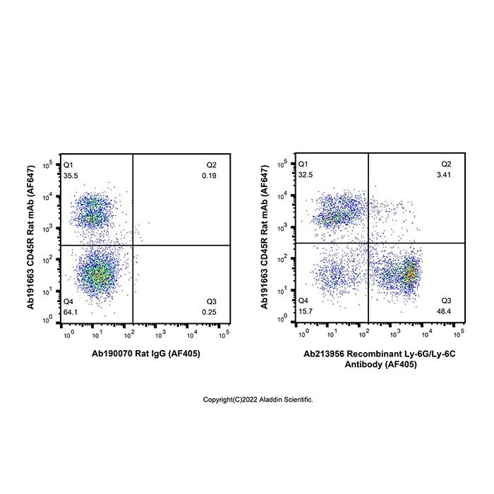Recombinant Ly-6G/Ly-6C Antibody (AF405)