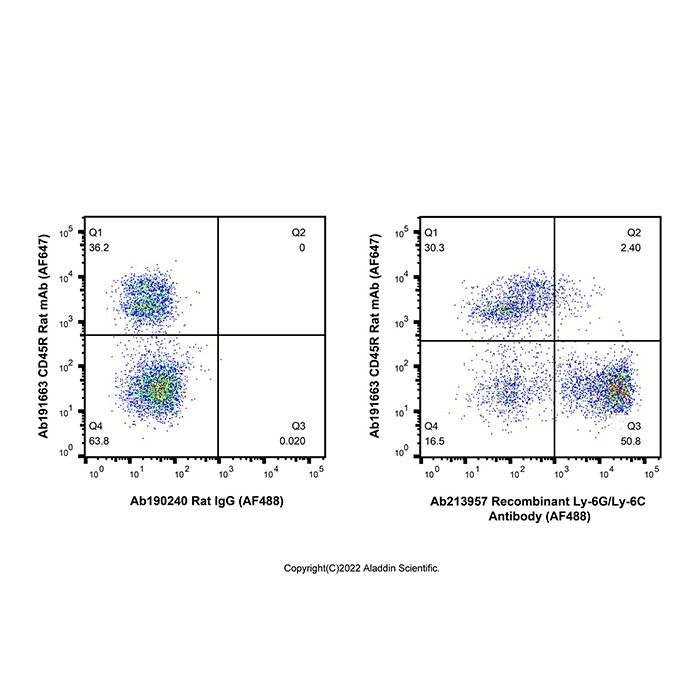 Recombinant Ly-6G/Ly-6C Antibody (AF488)