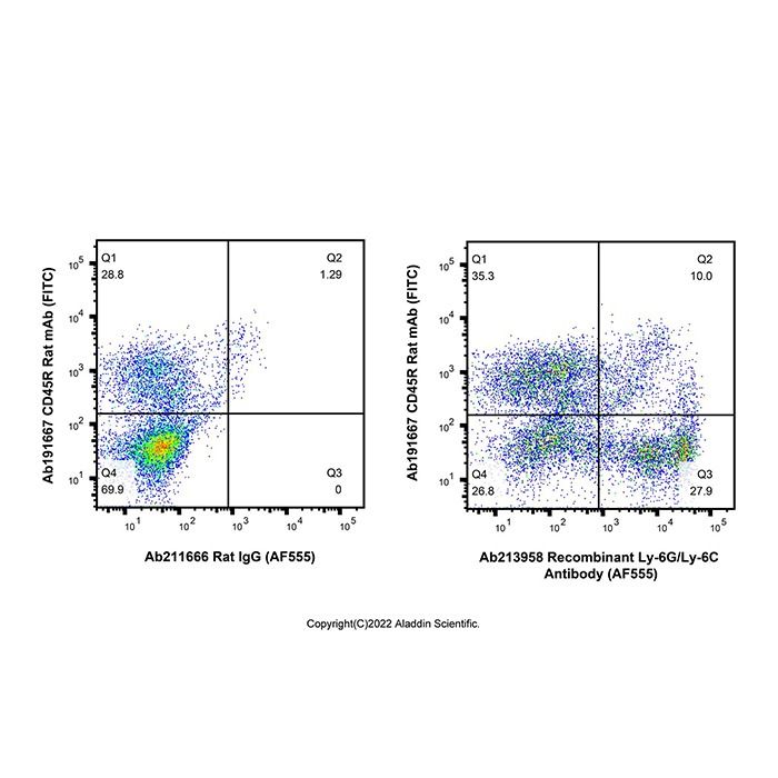 Recombinant Ly-6G/Ly-6C Antibody (AF555)