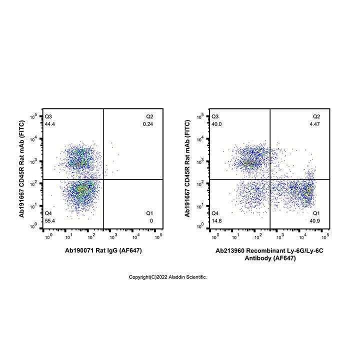 Recombinant Ly-6G/Ly-6C Antibody (AF647)