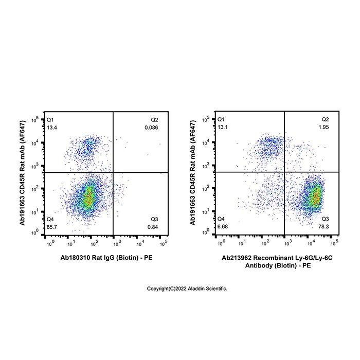 Recombinant Ly-6G/Ly-6C Antibody (Biotin)