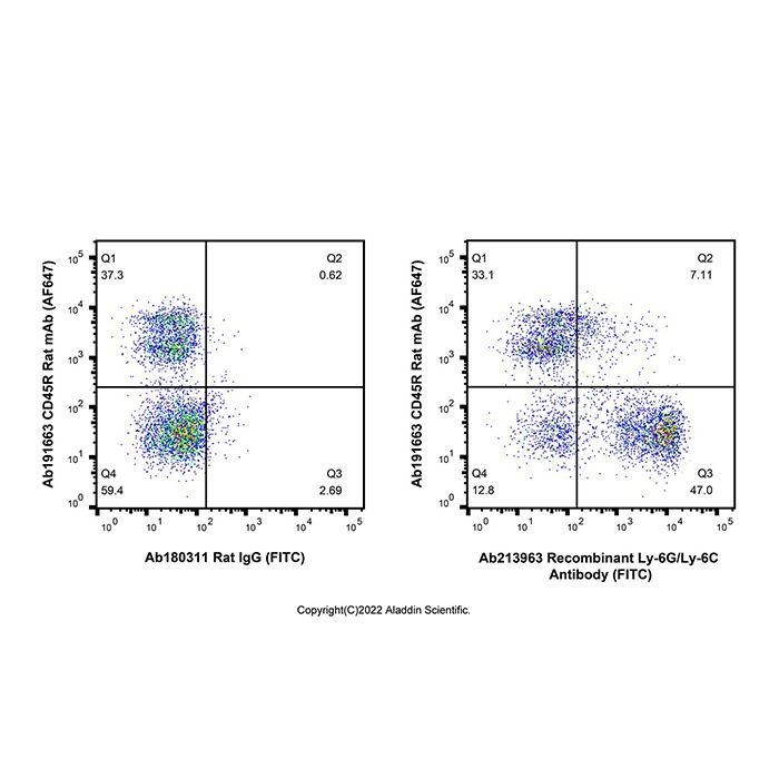Recombinant Ly-6G/Ly-6C Antibody (FITC)