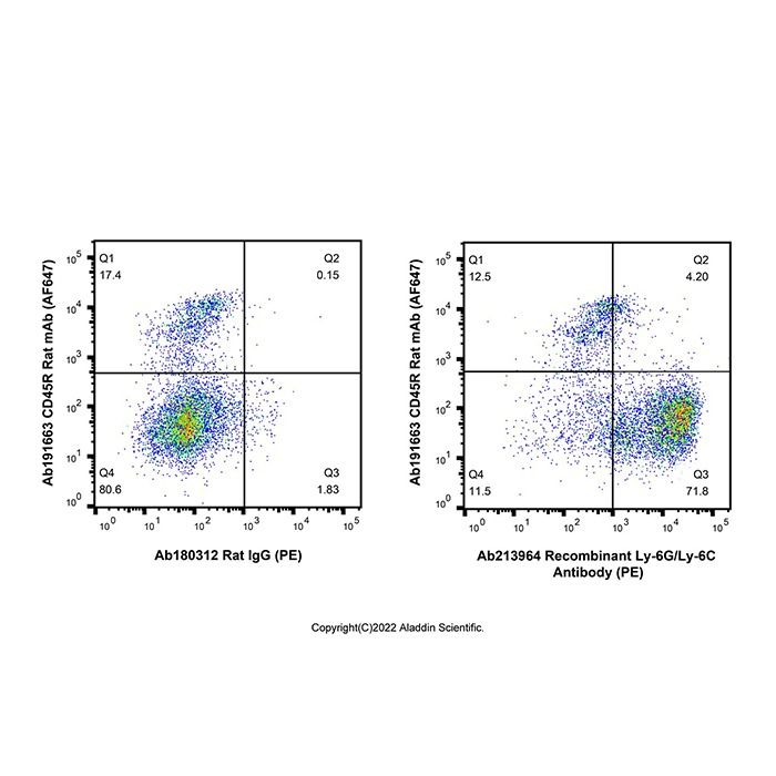 Recombinant Ly-6G/Ly-6C Antibody (PE)