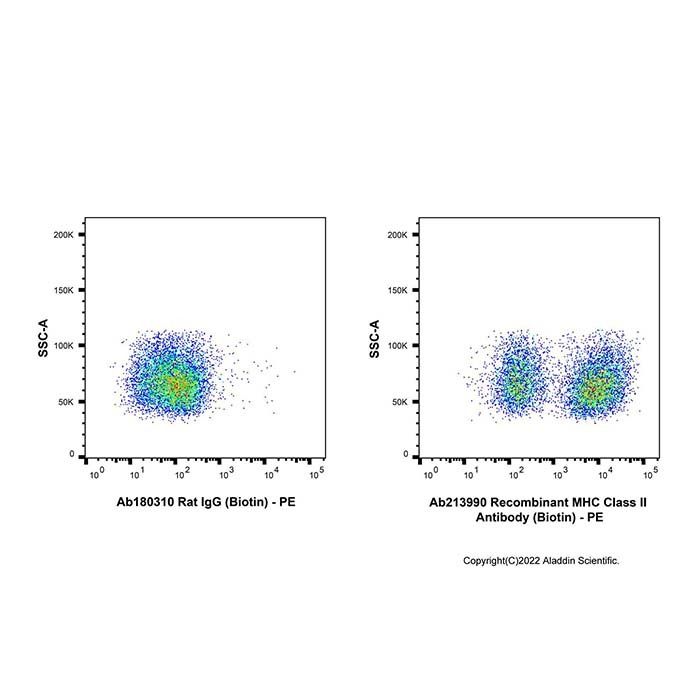 Recombinant MHC Class II Antibody (Biotin)