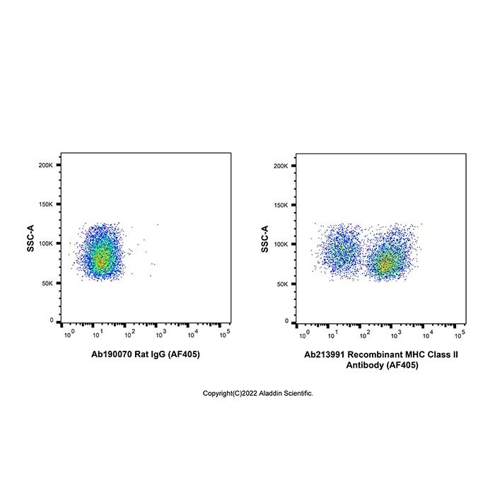 Recombinant MHC Class II Antibody (AF405)