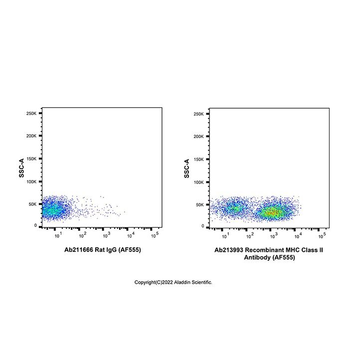 Recombinant MHC Class II Antibody (AF555)