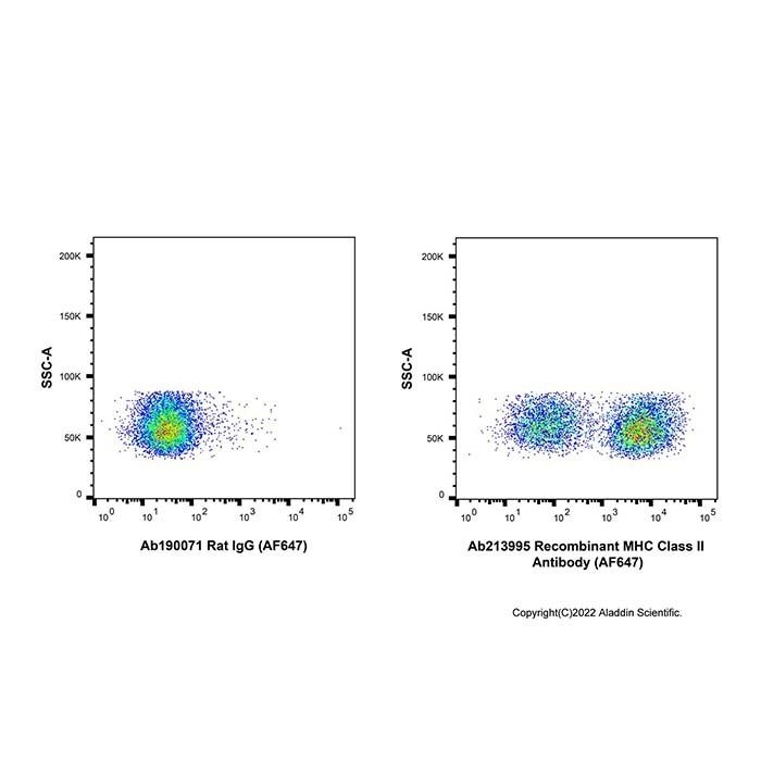 Recombinant MHC Class II Antibody (AF647)