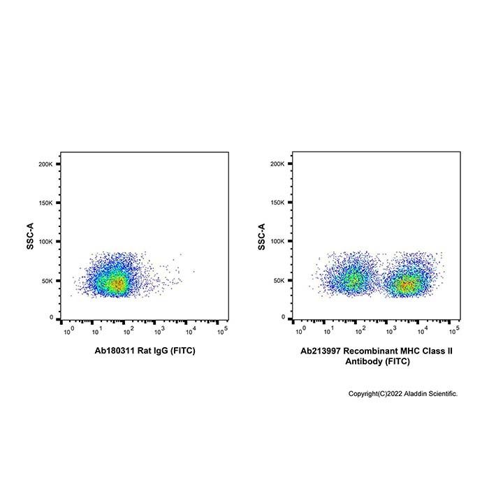 Recombinant MHC Class II Antibody (FITC)