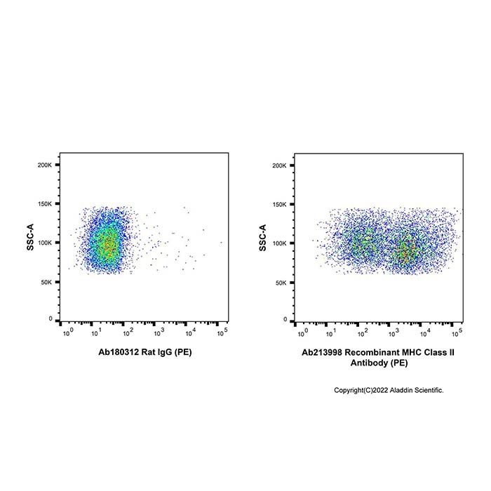 Recombinant MHC Class II Antibody (PE)