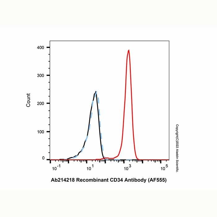 Recombinant CD34 Antibody (AF555)