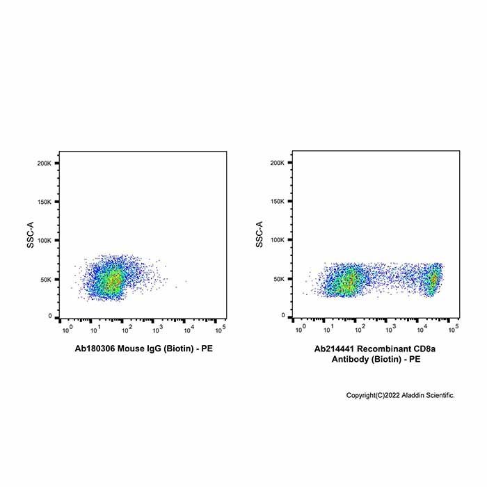 Recombinant CD8a Antibody (Biotin)