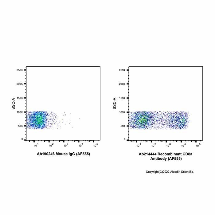 Recombinant CD8a Antibody (AF555)