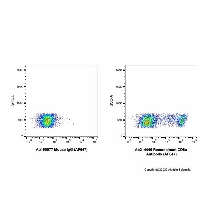 Recombinant CD8a Antibody (AF647)