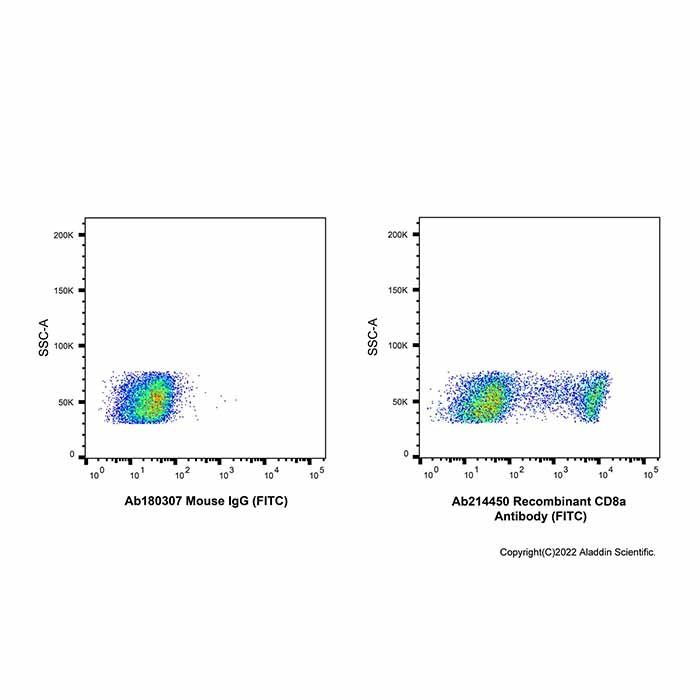 Recombinant CD8a Antibody (FITC)