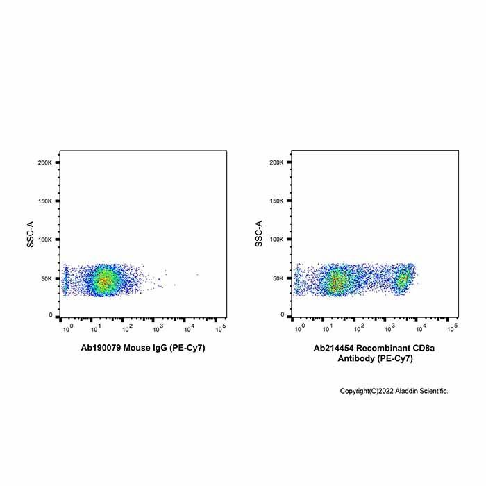 Recombinant CD8a Antibody (PE-Cy7)