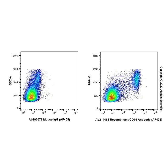 Recombinant CD14 Antibody (AF405)