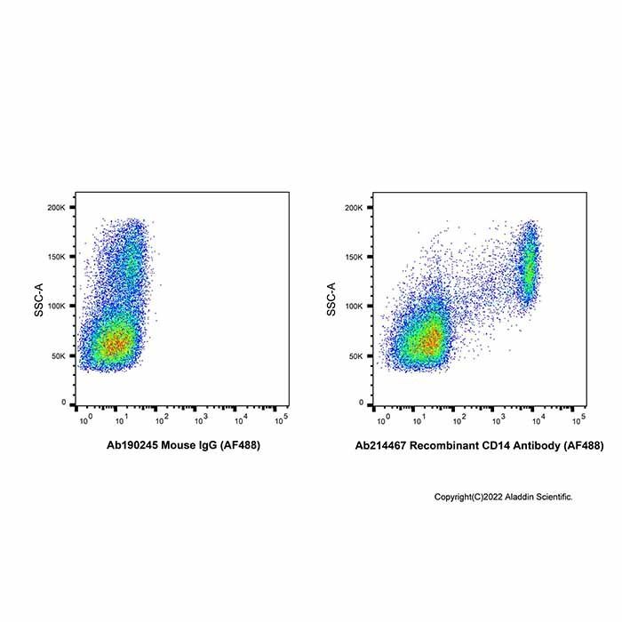 Recombinant CD14 Antibody (AF488)