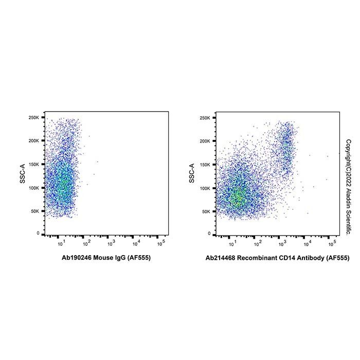 Recombinant CD14 Antibody (AF555)