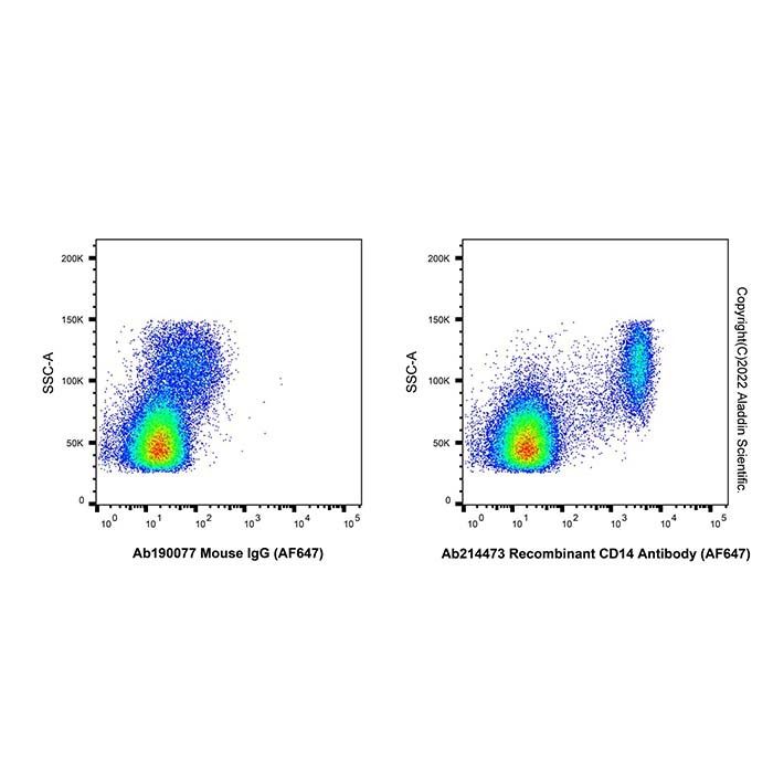 Recombinant CD14 Antibody (AF647)