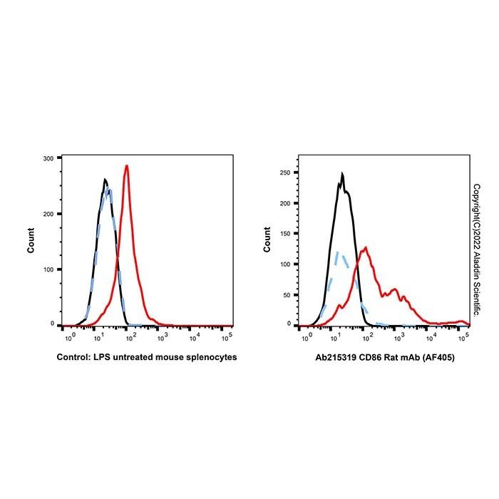 CD86 Rat mAb (AF405)