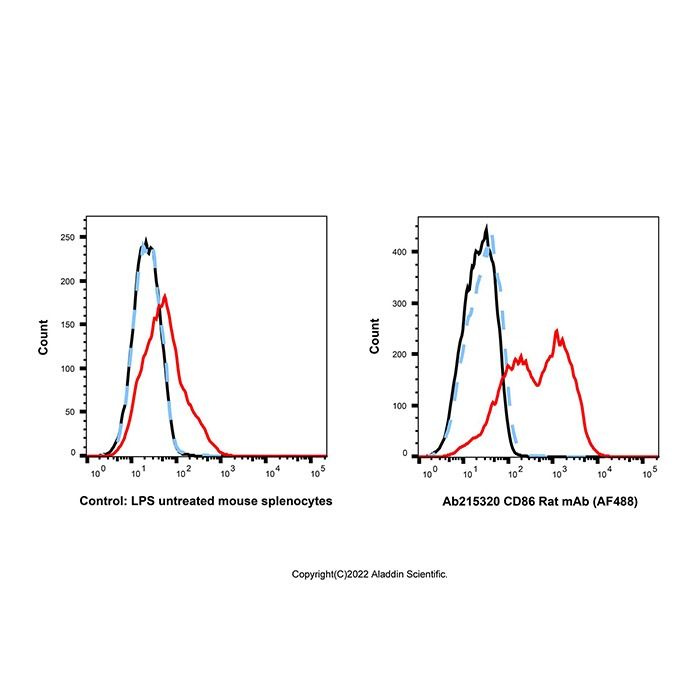 CD86 Rat mAb (AF488)