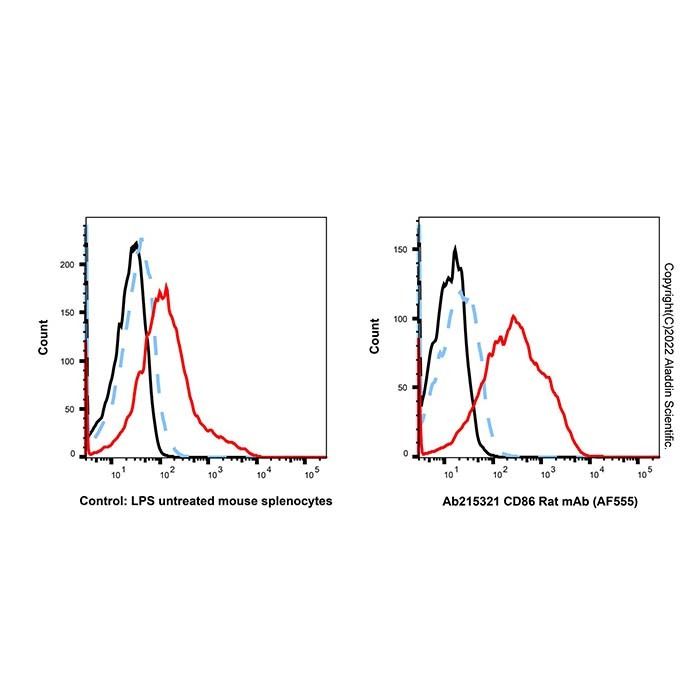 CD86 Rat mAb (AF555)