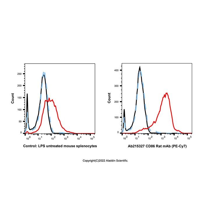 CD86 Rat mAb (PE-Cy7)