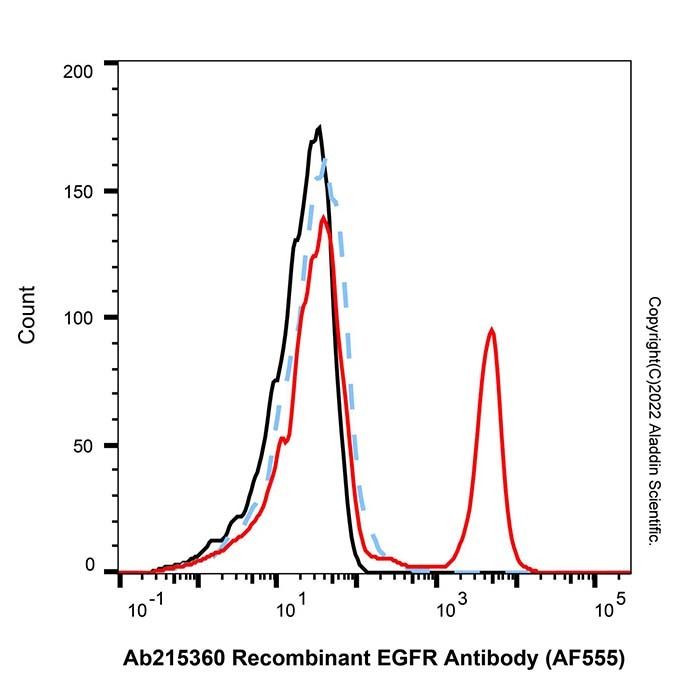 Recombinant EGFR Antibody (AF555)