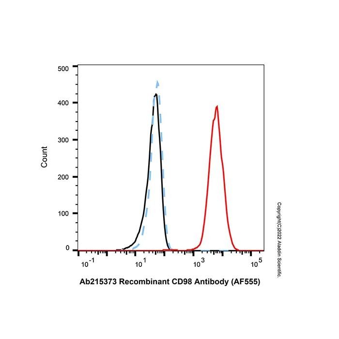Recombinant CD98 Antibody (AF555)