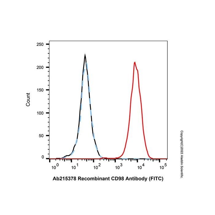 Recombinant CD98 Antibody (FITC)