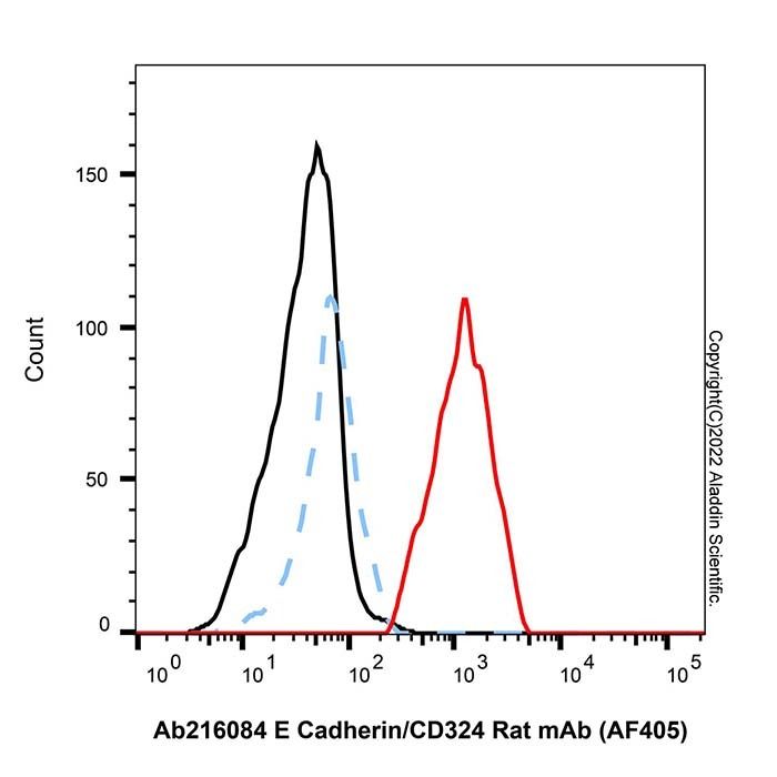 E Cadherin/CD324 Rat mAb (AF405)