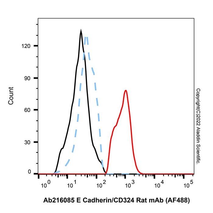 E Cadherin/CD324 Rat mAb (AF488)
