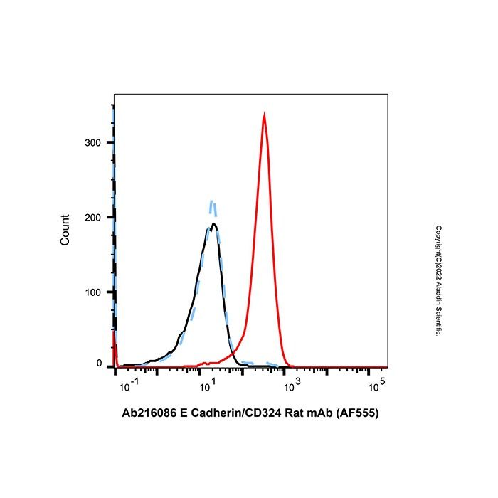 E Cadherin/CD324 Rat mAb (AF555)