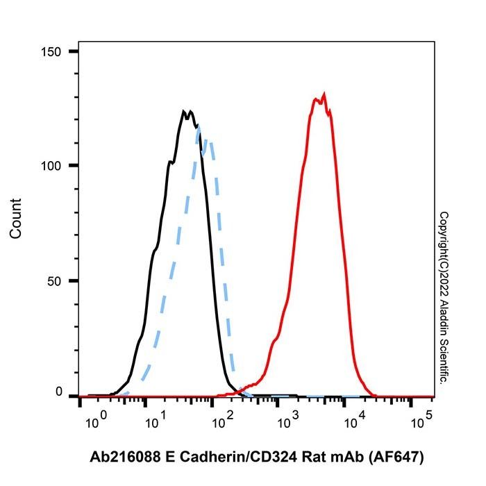 E Cadherin/CD324 Rat mAb (AF647)