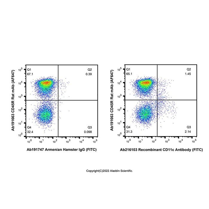 Recombinant CD11c Antibody (FITC)