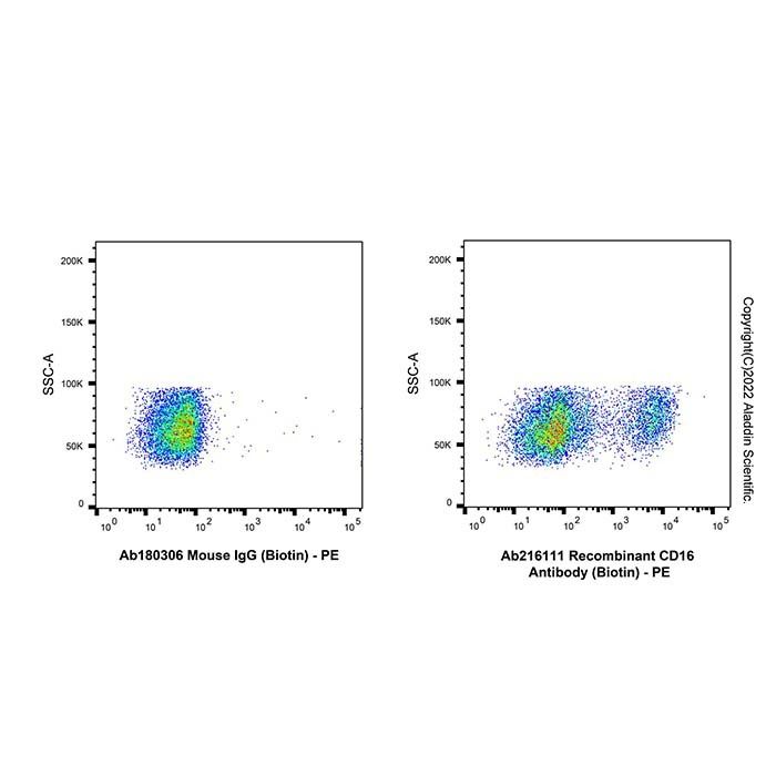 Recombinant CD16 Antibody (Biotin)