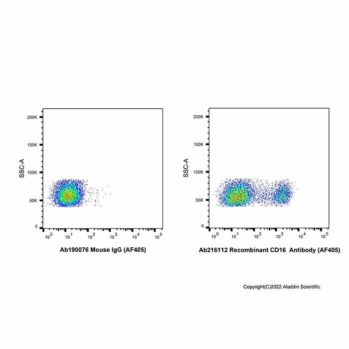 Recombinant CD16 Antibody (AF405)