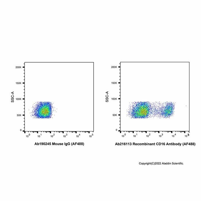 Recombinant CD16 Antibody (AF488)