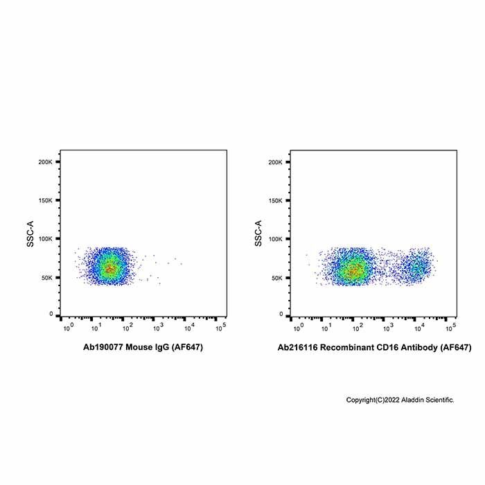 Recombinant CD16 Antibody (AF647)