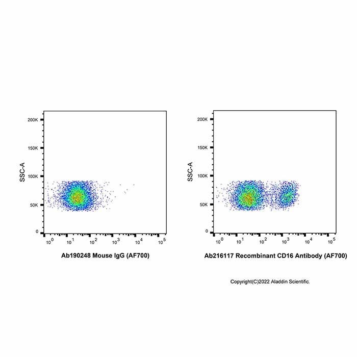 Recombinant CD16 Antibody (AF700)