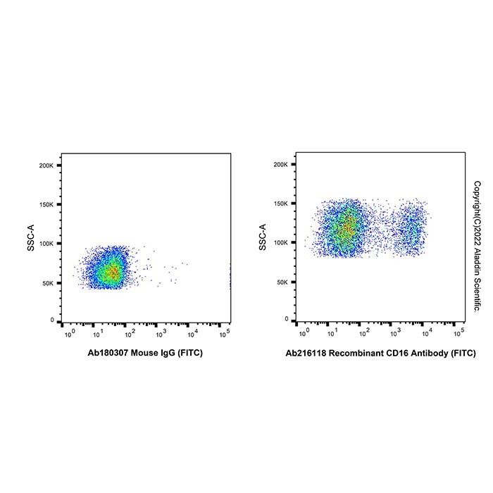 Recombinant CD16 Antibody (FITC)