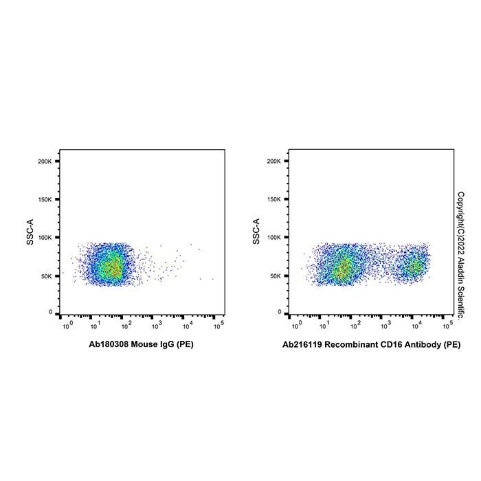 Recombinant CD16 Antibody (PE)