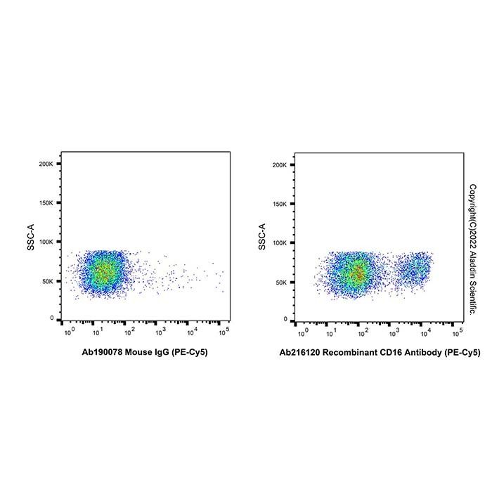 Recombinant CD16 Antibody (PE-Cy5)