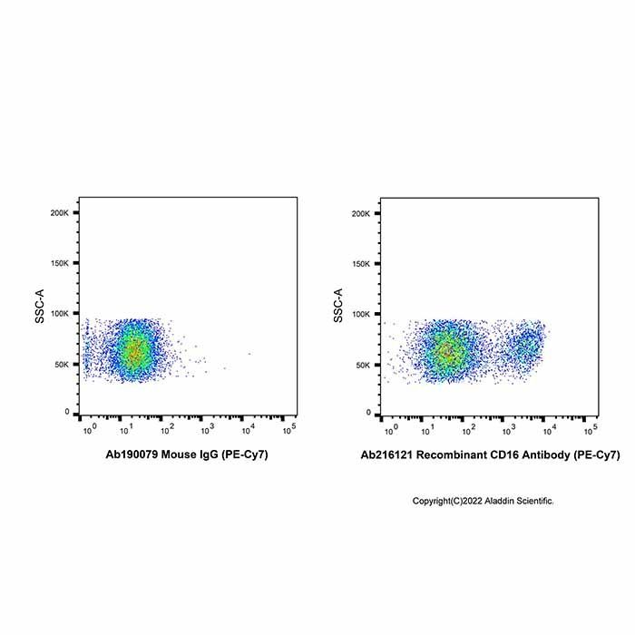 Recombinant CD16 Antibody (PE-Cy7)