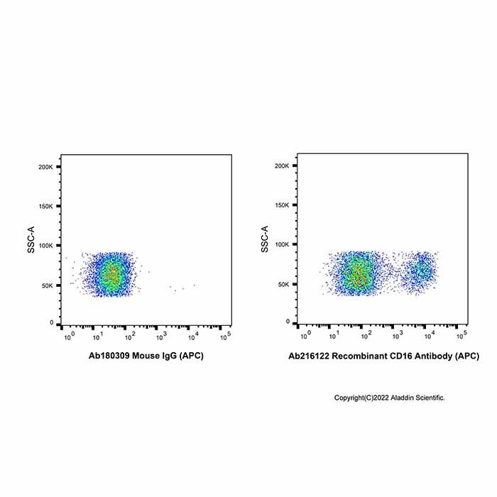 Recombinant CD16 Antibody (APC)