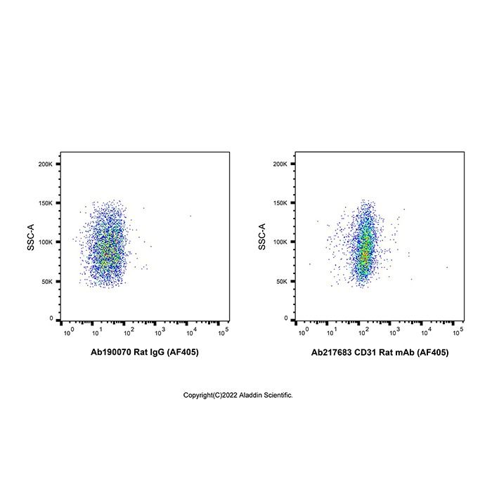 CD31 Rat mAb (AF405)