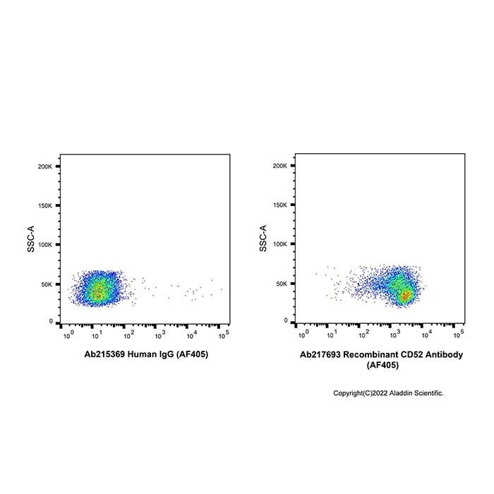 Recombinant CD52 Antibody (AF405)