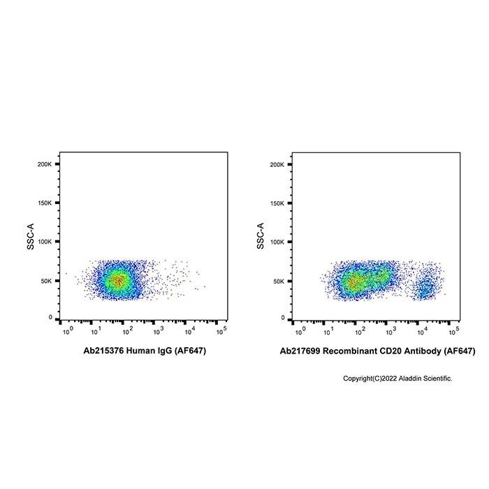 Recombinant CD20 Antibody (AF647)