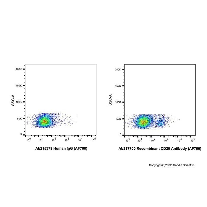 Recombinant CD20 Antibody (AF700)