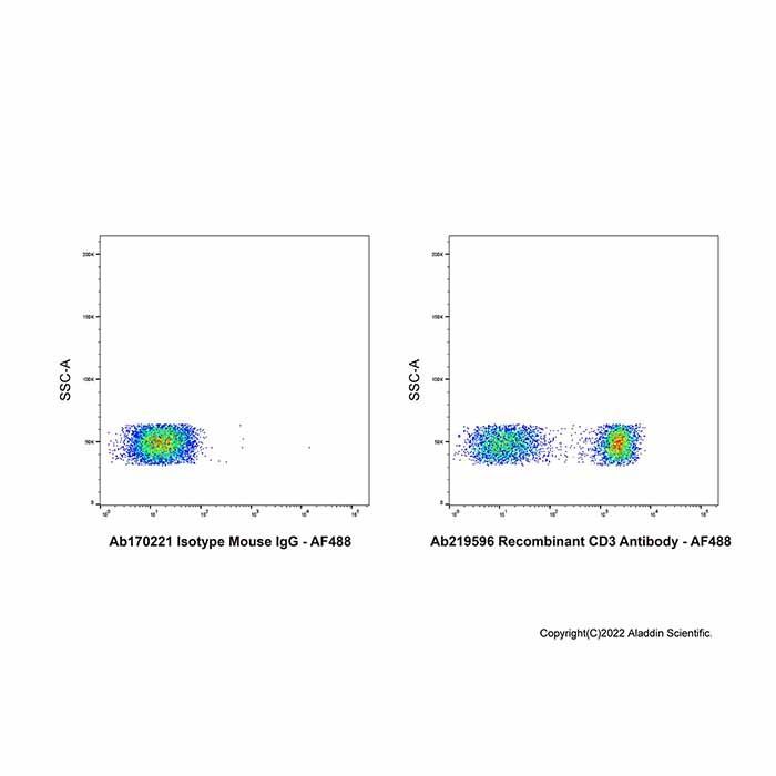 Recombinant CD3 Antibody